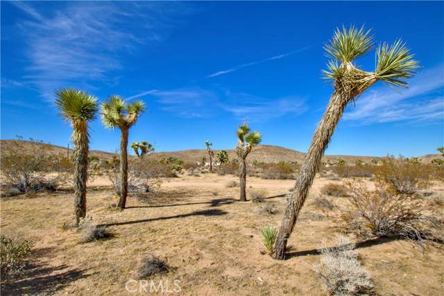 Yucca Valley, CA 92284,38 Lot 38 La Crescenta Drive