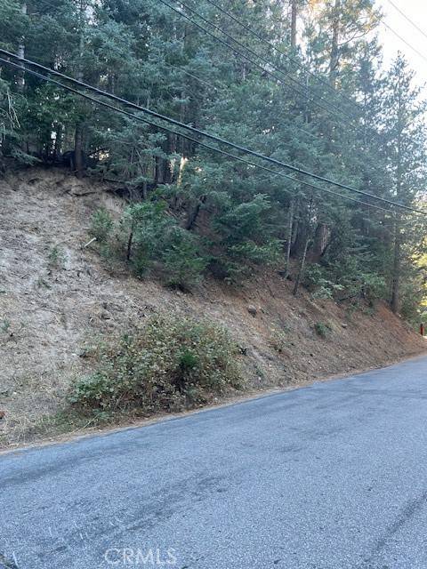 Twin Peaks, CA 92391,0 Lake Forest Drive