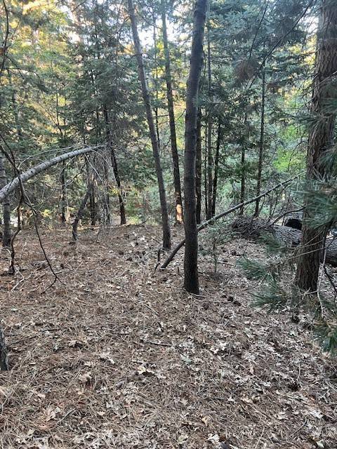 Twin Peaks, CA 92391,0 Lake Forest Drive