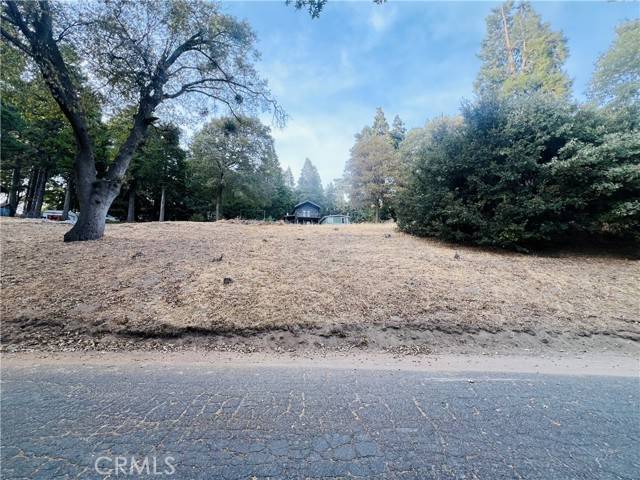 Cedarpines Park, CA 92322,0 Mojave River Road