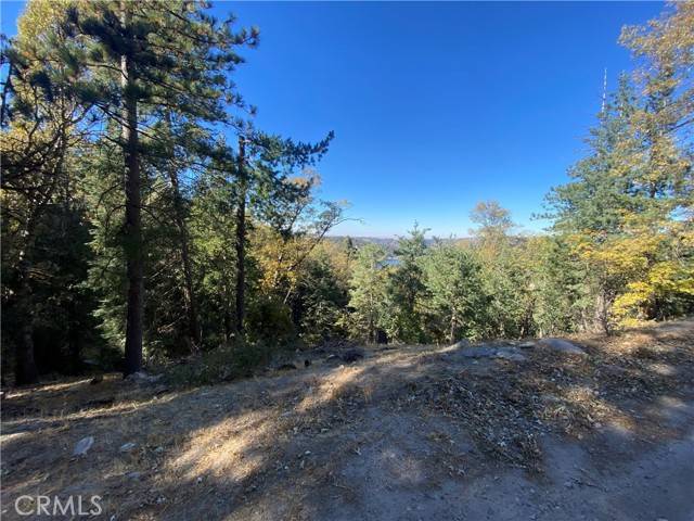 Crestline, CA 92325,24989 Highland Drive