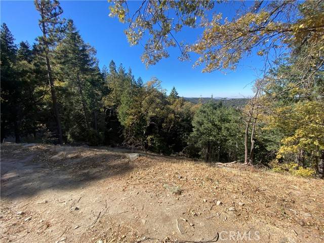 Crestline, CA 92325,24989 Highland Drive