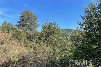 Cedar Glen, CA 92321,0 Pine Drive