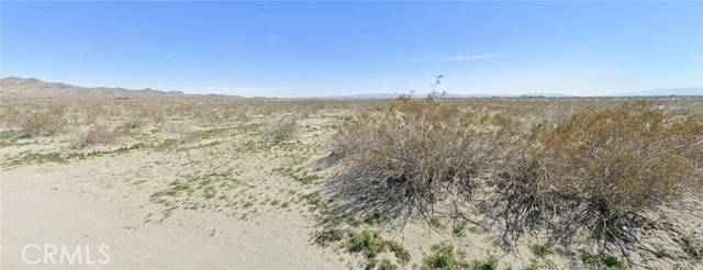 Adelanto, CA 92301,0 Mesquite