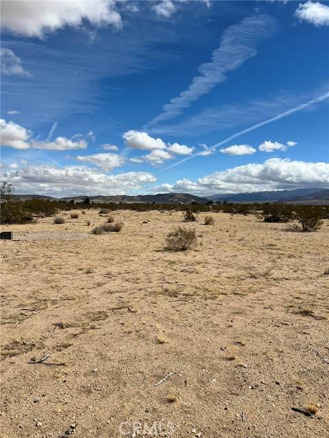 Joshua Tree, CA 92252,0 California Avenue