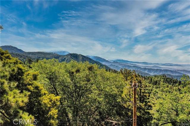 Running Springs, CA 92382,246 Ferndale Dr