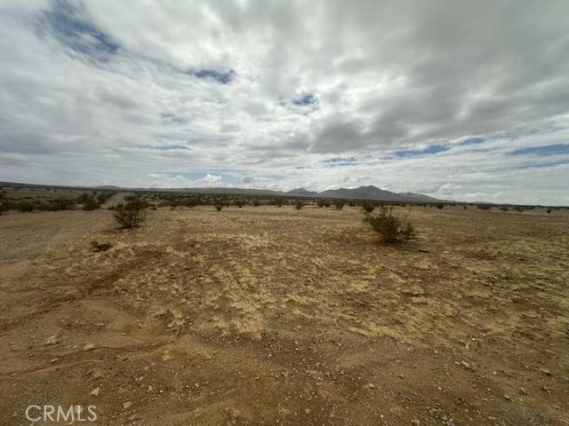Helendale, CA 92342,0 Palomino Road