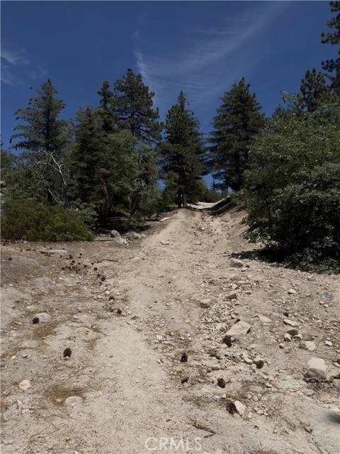 Running Springs, CA 92382,2526 Ridge Road