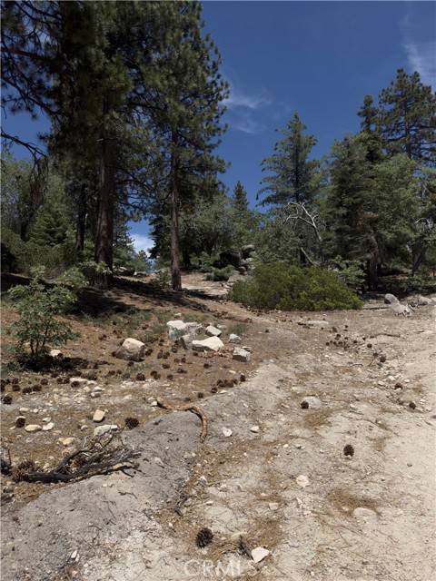Running Springs, CA 92382,2526 Ridge Road