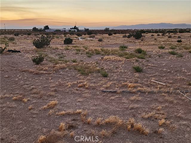 Newberry Springs, CA 92365,36955 Troy Road