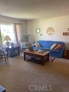 Yucaipa, CA 92399,11610 Dodd Street