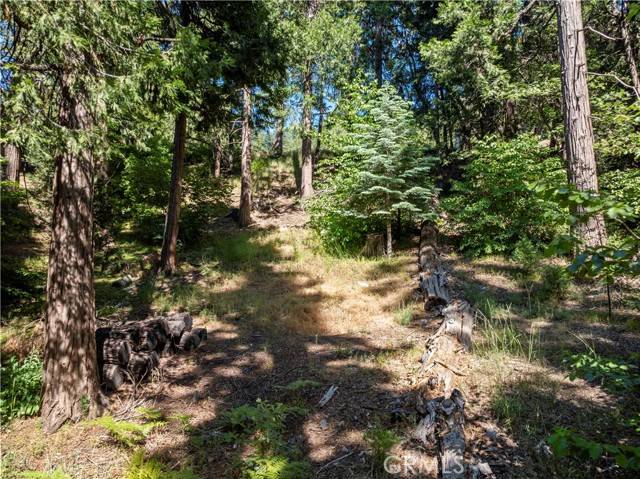 Lake Arrowhead, CA 92352,356 Ca-173