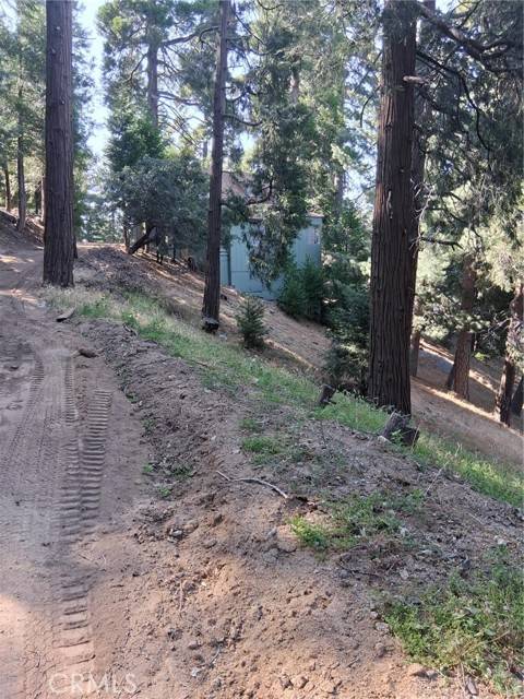 Cedarpines Park, CA 92322,61 Evergreen Drive