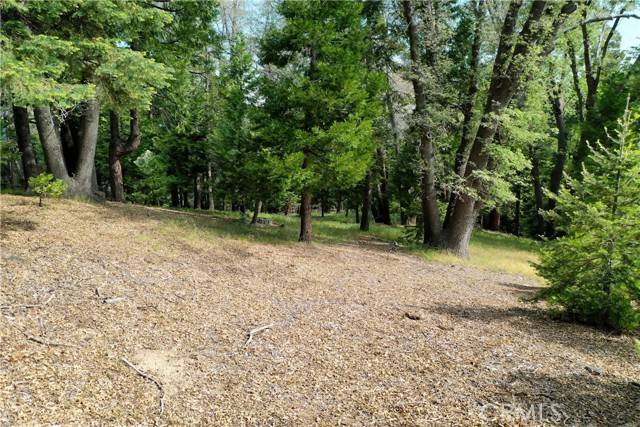 Lake Arrowhead, CA 92352,399 Cedar Ridge Drive