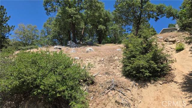 Crestline, CA 92325,0 Edelweiss Drive
