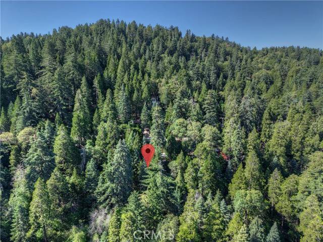 Crestline, CA 92325,0 Lakeview Drive