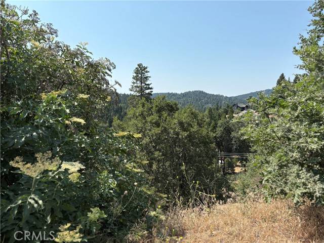 Lake Arrowhead, CA 92352,26801 inyo Lane