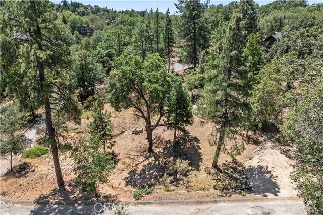 Lake Arrowhead, CA 92352,27115 Spring Lane