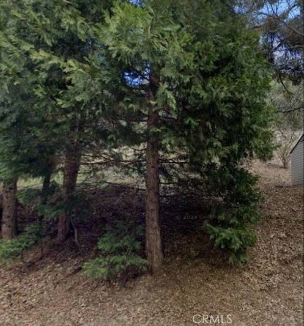 Crestline, CA 92325,0 Dart Canyon Road