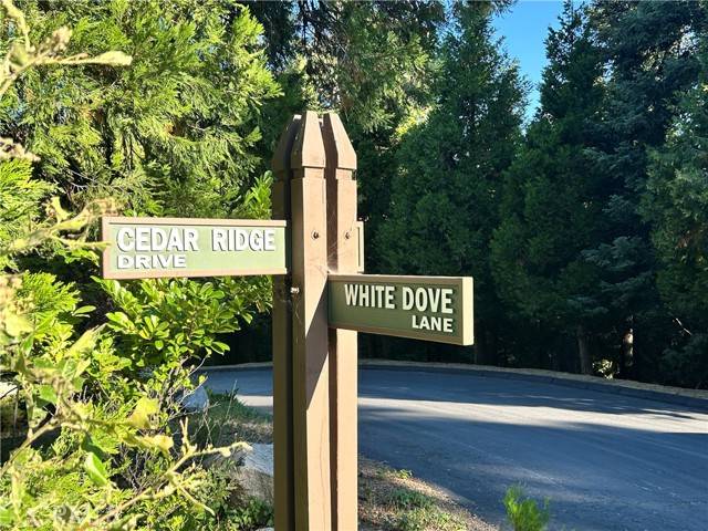 Lake Arrowhead, CA 92352,28980 White Dove Lane