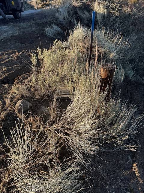 Tehachapi, CA 93561,24080 El Rancho