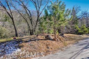 Lake Arrowhead, CA 92352,0 Deer