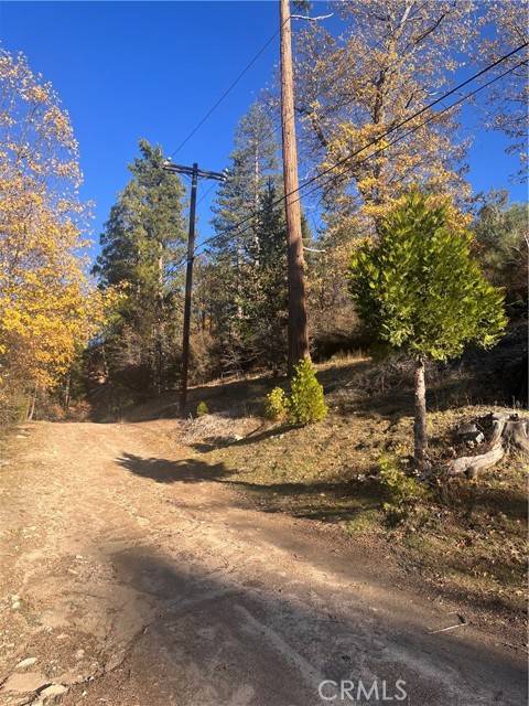 Cedar Glen, CA 92321,29834 Juniper Drive