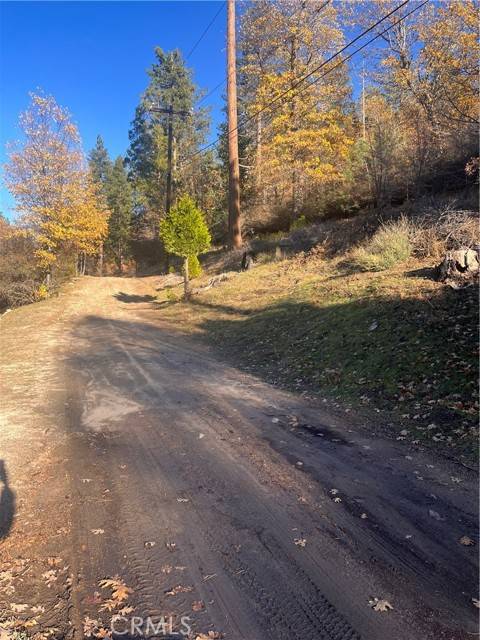 Cedar Glen, CA 92321,29834 Juniper Drive