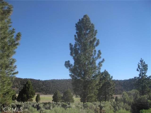 Big Bear City, CA 92314,2805 Cedar Lane