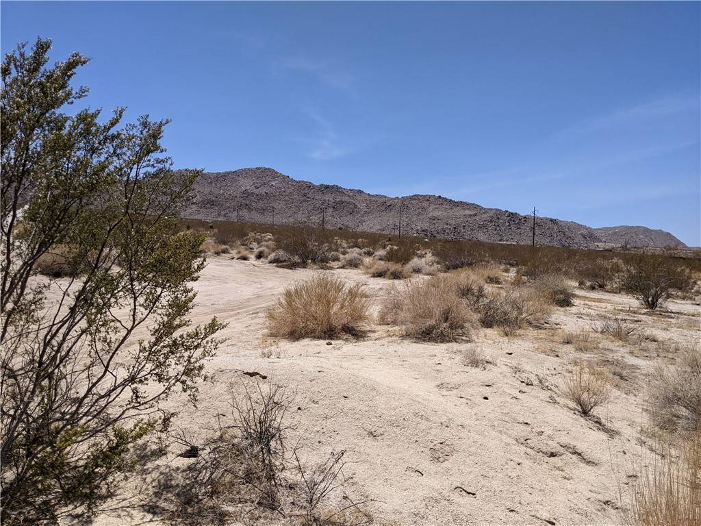 Twentynine Palms, CA 92277,0 None