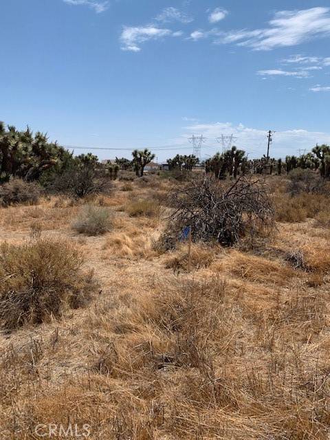 Phelan, CA 92371,0 Tumbleweed