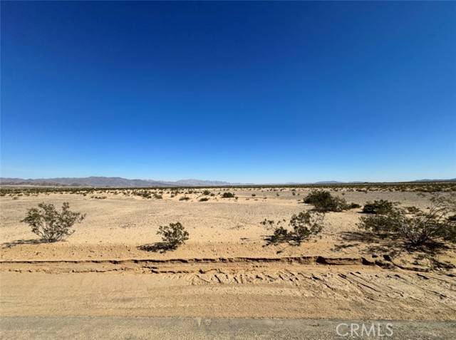 Twentynine Palms, CA 92277,0 Twentynine Palms