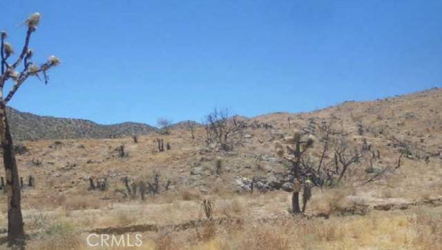 Yucca Valley, CA 92284,0 N Of Elata Avenue