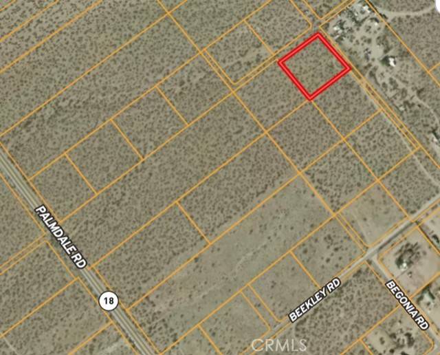 Pinon Hills, CA 92372,0 Camellia