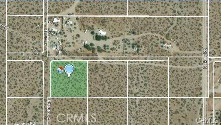 Pinon Hills, CA 92372,0 Camellia