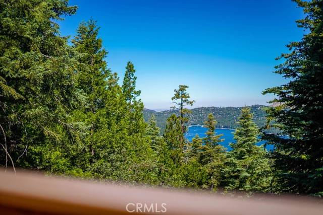 Lake Arrowhead, CA 92352,29130 Bald Eagle Ridge