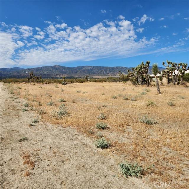 Pinon Hills, CA 92372,0 Arena Road