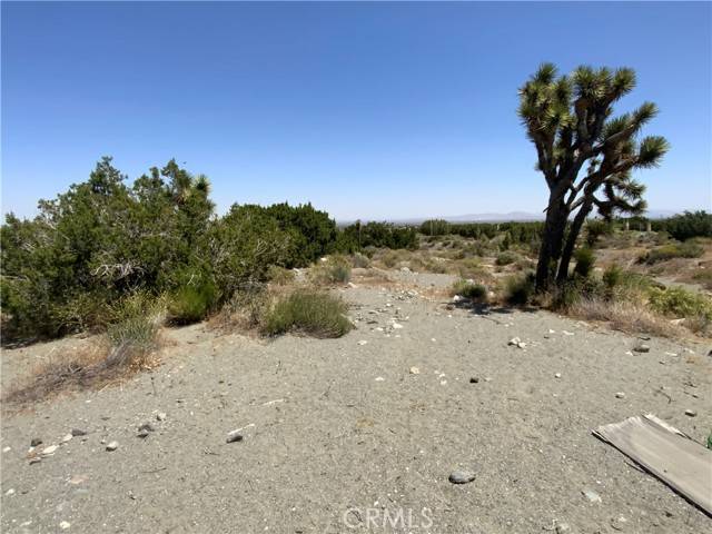 Pinon Hills, CA 92372,0 Phelan Road