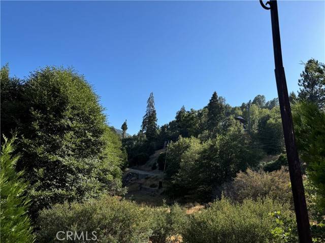 Cedar Glen, CA 92321,29602 Hook Creek Road