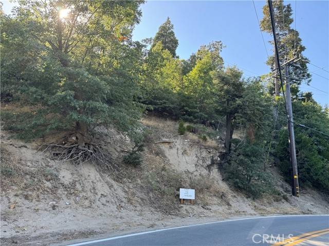 Cedar Glen, CA 92321,29602 Hook Creek Road