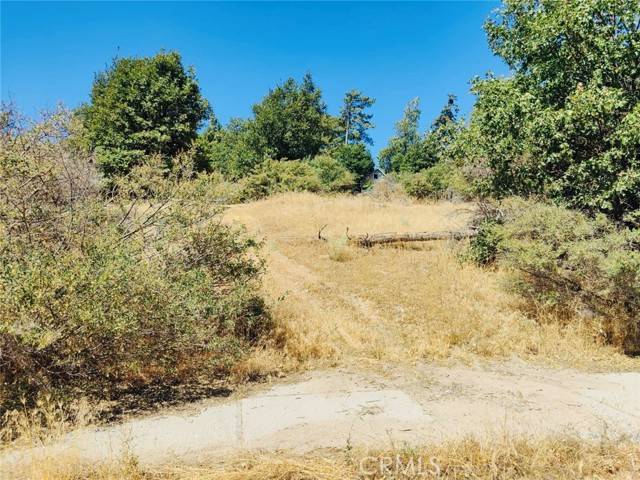 Cedar Glen, CA 92321,289 Lilac Way