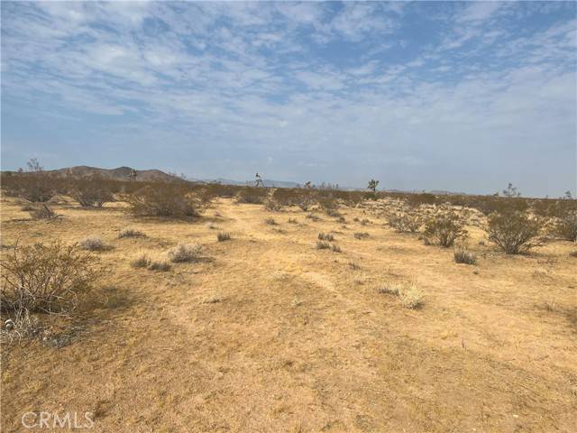 Landers, CA 92285,338 Stable Road