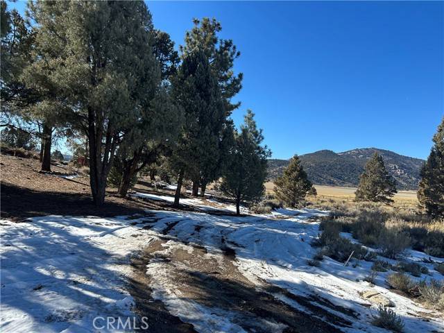 Big Bear City, CA 92314,0 Madrona Lane