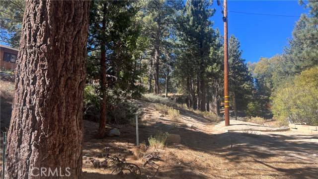 Green Valley Lake, CA 92341,33275 Iris Drive