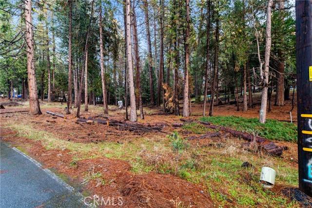 Pioneer, CA 95666,1 Old Madrone Road