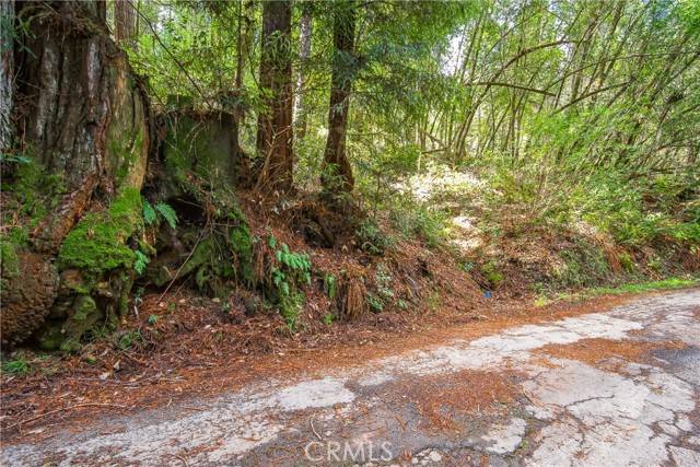 Cazadero, CA 95421,6185 Austin Creek Road