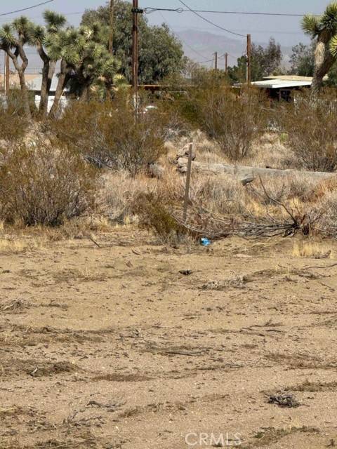 Phelan, CA 92371,5520 Luna Road