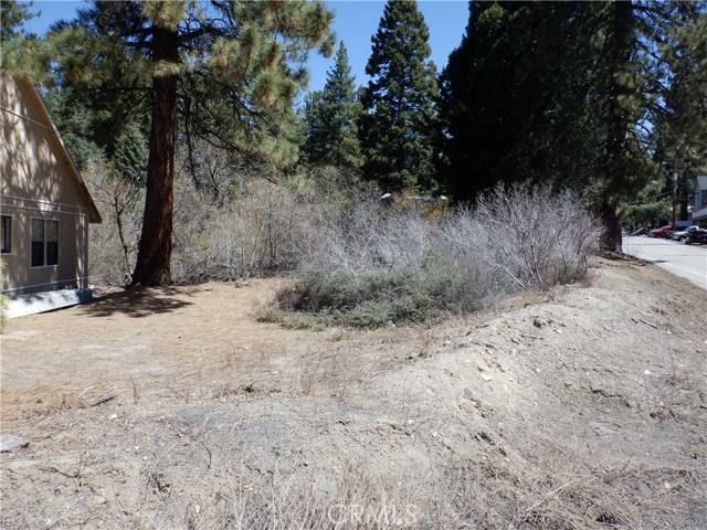 Green Valley Lake, CA 92341,0 Green Valley Lake Road