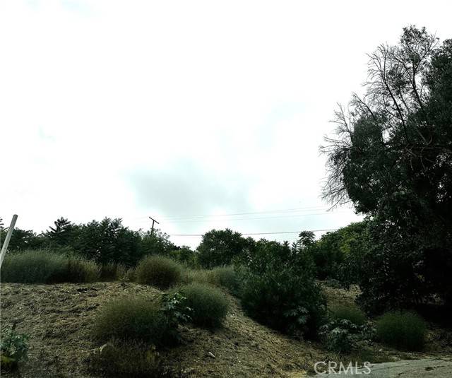 Los Angeles, CA 90031,0 Lincoln Park Avenue