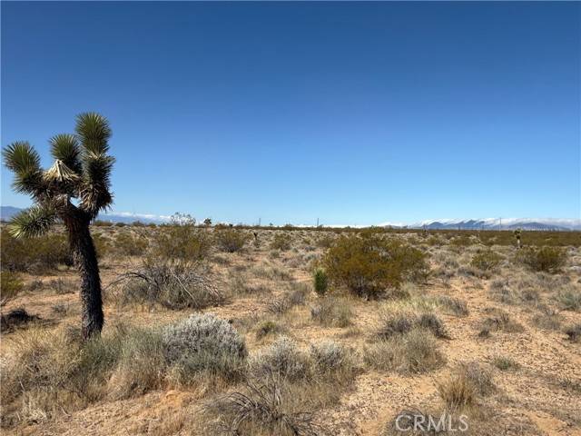 Rosamond, CA 93560,125 125th